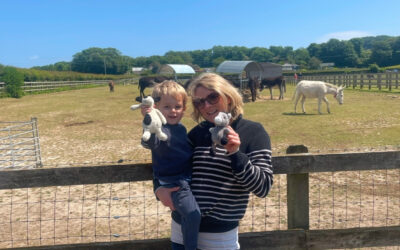 Welcome to our new blog! A journey of a Sussex Farming Mum